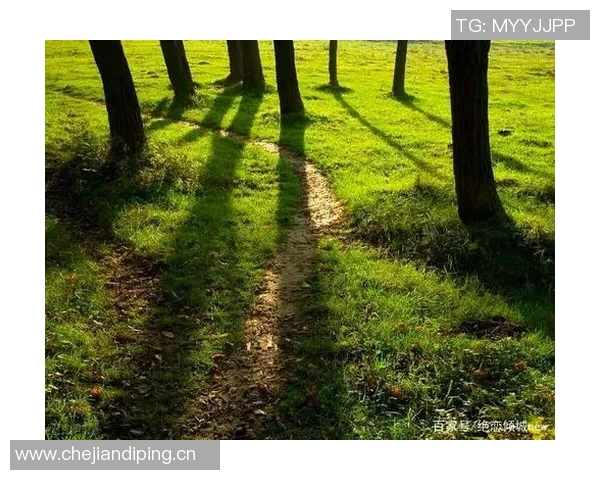 李晓丹的成长之路：从平凡到卓越的奋斗故事与人生启示